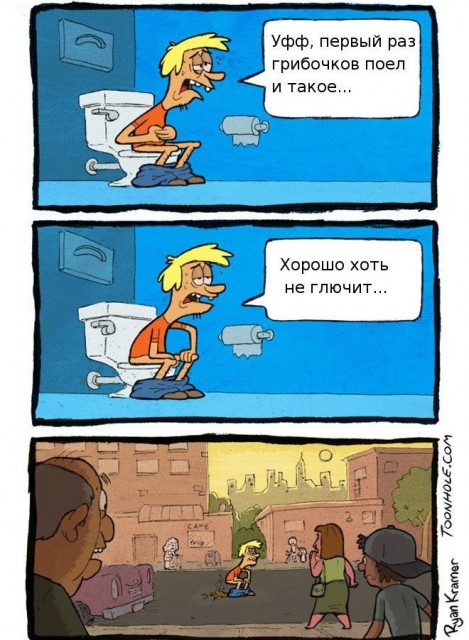 Грибники, будьте бдительны!