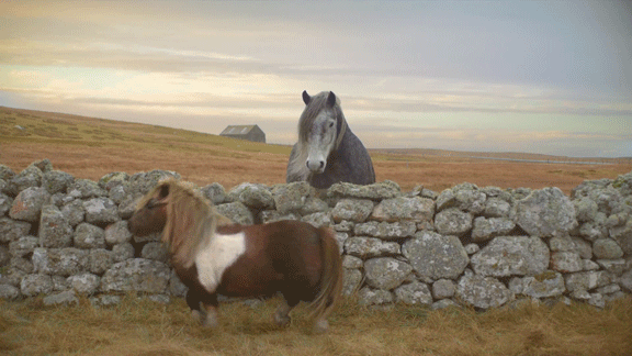 гифки-gangnam-style-майкл-джексон-style-589650