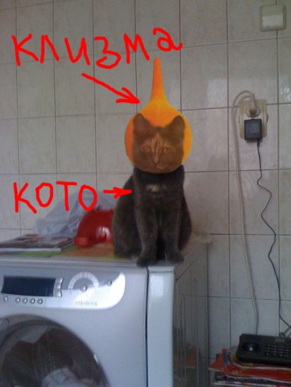 клиз