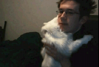 1362580565_612502134