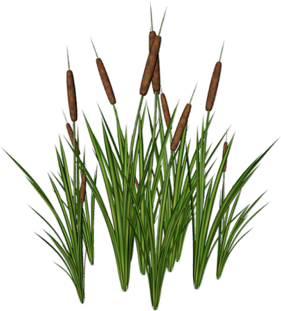 4ca193c3c179_yapfiles.ru