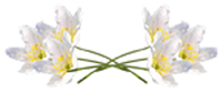 2м