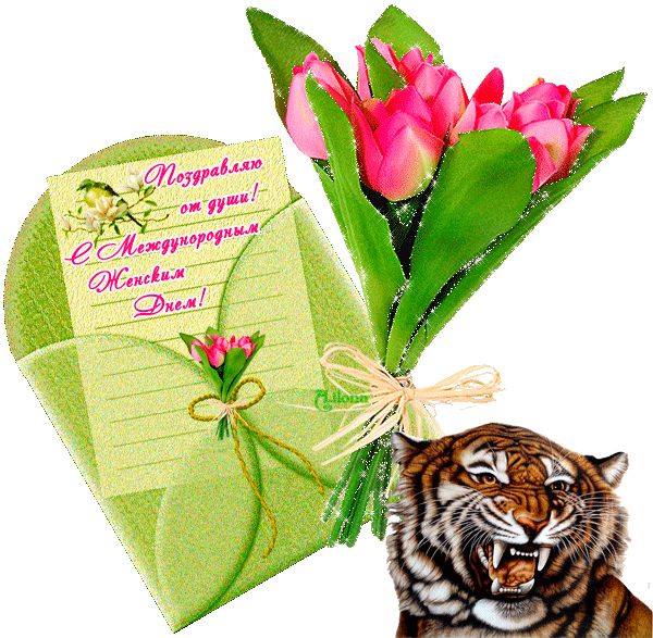 78564315для-всех