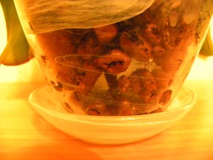 DSCN1719