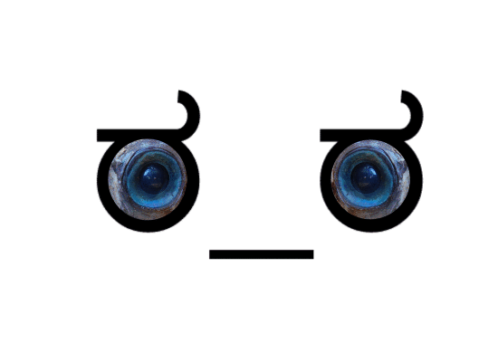 гифки-глаза-597785