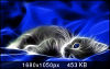 s_1334874845_6329740_a34e8641a3_opt