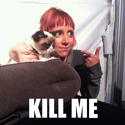 гифки-Grumpy-Cat-599286