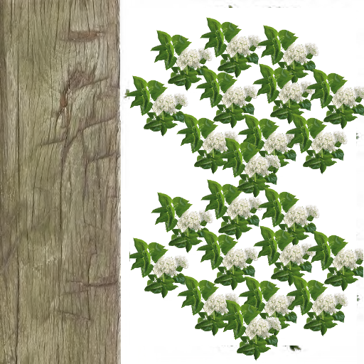 derevo3