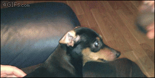 cc02902fb3db44998767386331914b16