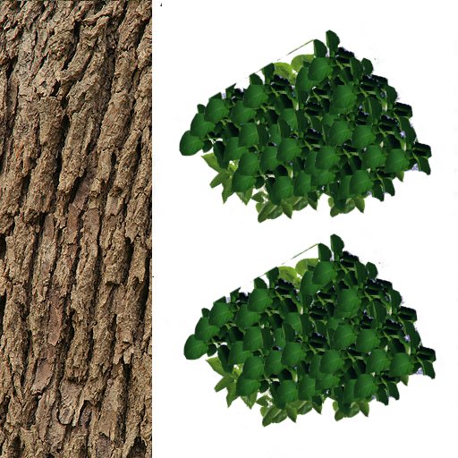 derevo01