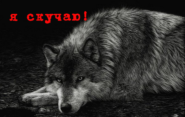 Грусный-волк1