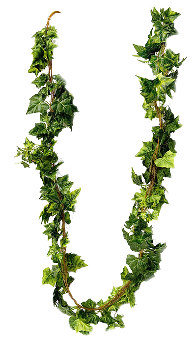 лианы