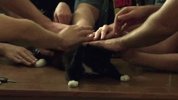 1363929638_1060962779