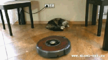 1364136802_1216112366