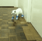 tumblr_inline_mg67khjhBu1qjie80