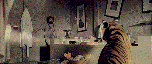 0d887b5042NEVTDWH_44988_6c5afdbc02