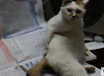 после укола