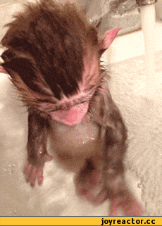 %D0%B3%D0%B8%D1%84%D0%BA%D0%B8-%D0%BE%D0%B1%D0%B5%D0%B7%D1%8C%D1%8F%D0%BD%D0%BA%D0%B0-469837[1]