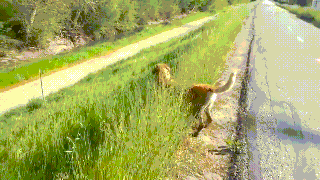 1364536165_2142164202