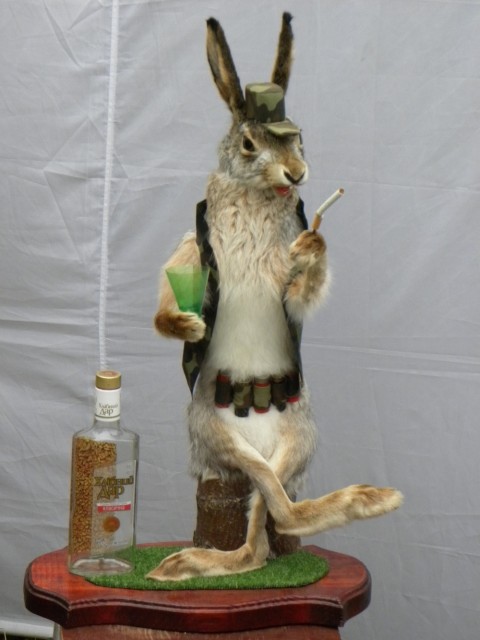 Чучело-лисы-253796