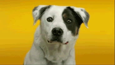 1364470334_74936645-happy