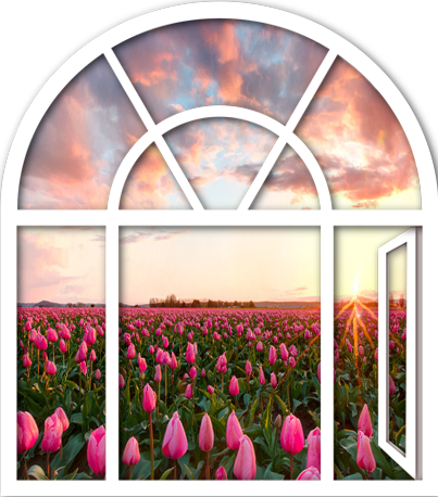 a62b991f1f6f7d341afa40398acd444d