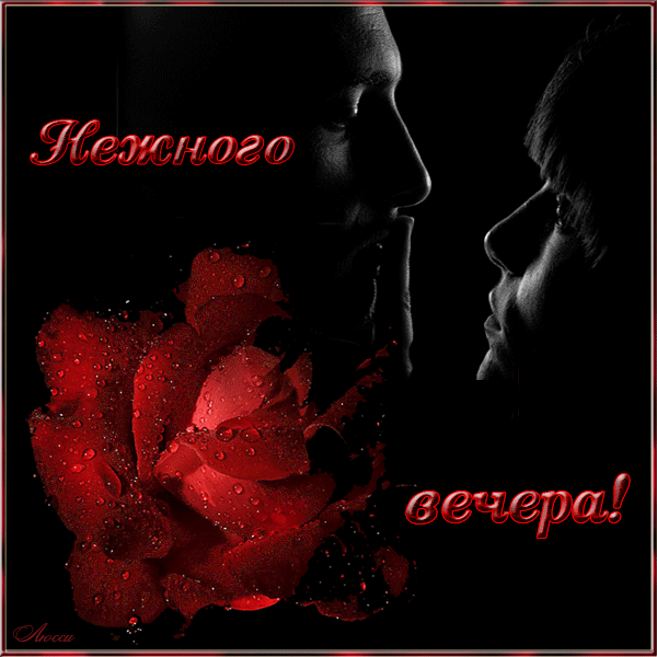 Добрый вечер