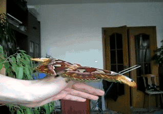 1365136799_1343746226