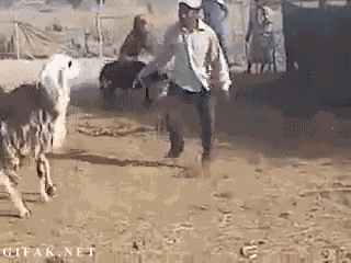 1365243627_1675953081