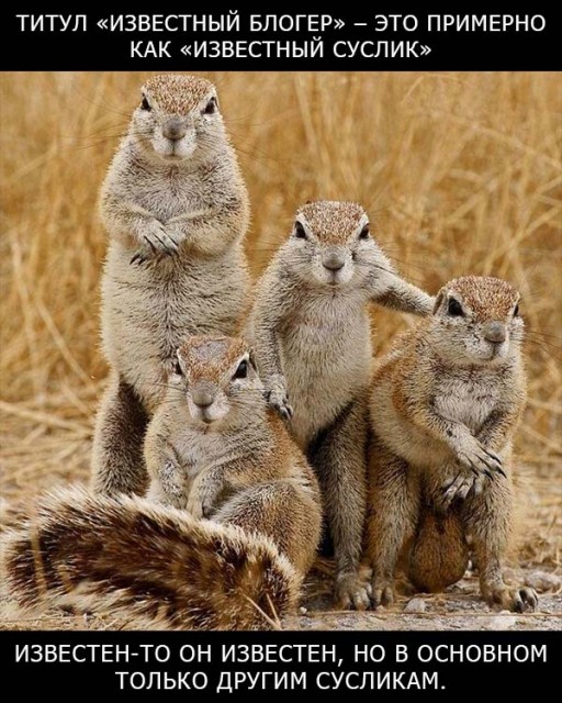 0_8e79e_c599c114_orig