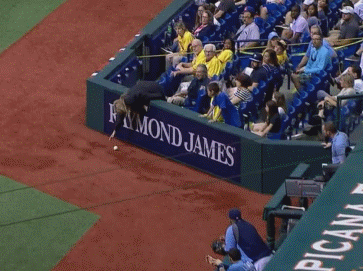 1365414349_859871507