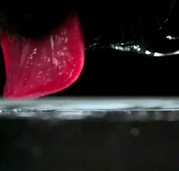 1365602016_1395693625