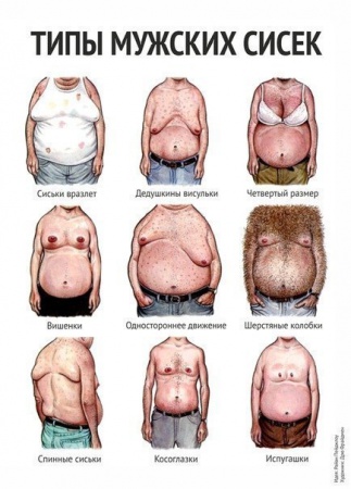 мужские сиськи