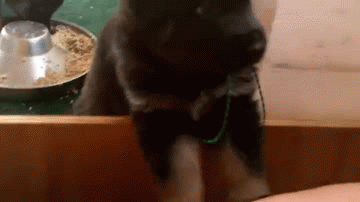 Чебурахнулся