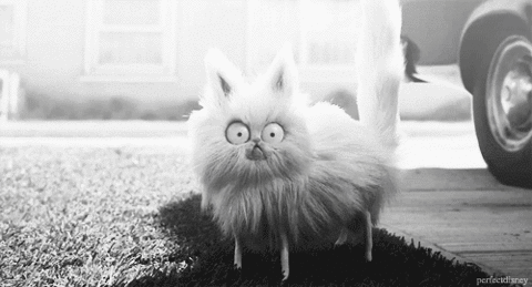 gifs_12