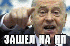 Жириновский 27 страниц