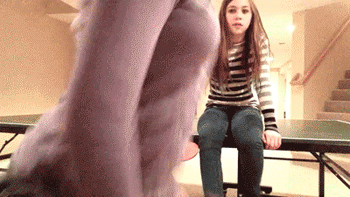 1366101499_529470588