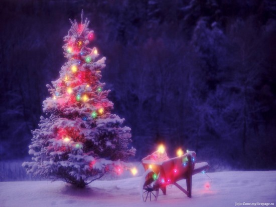 %D0%9D%D0%BE%D0%B2%D0%BE%D0%B3%D0%BE%D0%B4%D0%BD%D0%B8%D0%B5%200098