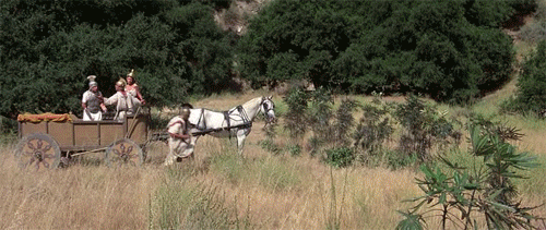 Подорожник. "Всемирная история всего"