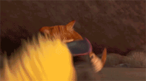 котэ-космос