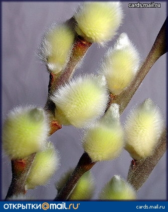 0810a13eff7bb1f59565b4b5e0f5dc77