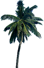 0_5a09a_f2946214_XL