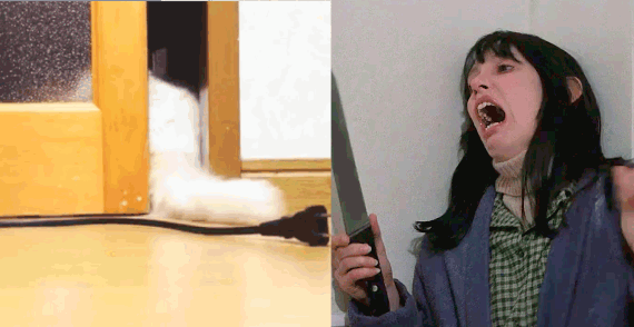 котє убивца)