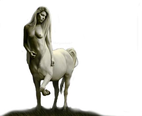 загруженное (10)