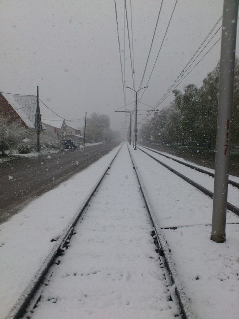 Барнаул 11 марта