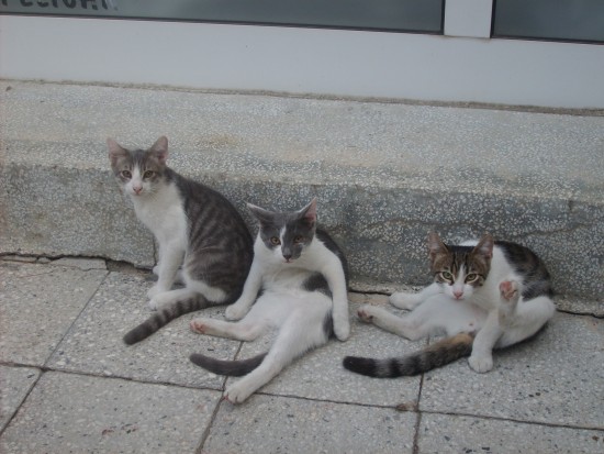 Болгария 016