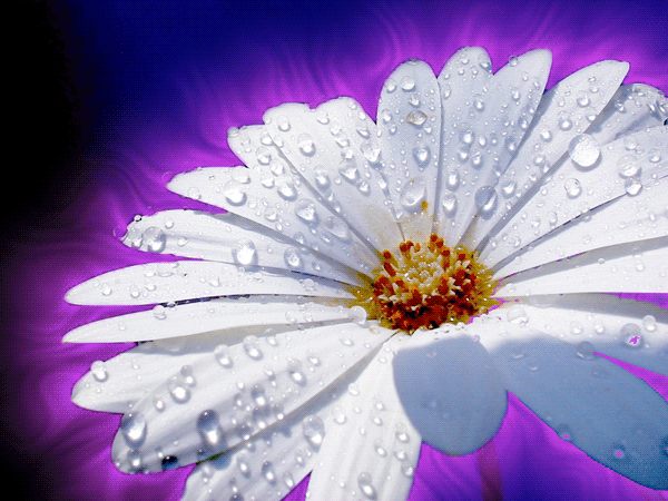 60571c2267210d5b13563b666cb88fc56dad4c137390554