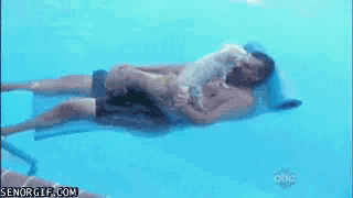 гифки-матрас-две-собачьих-силы-695351