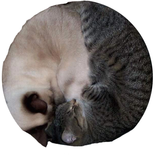 кофки