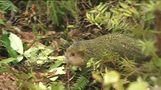 1368853637_1027796341